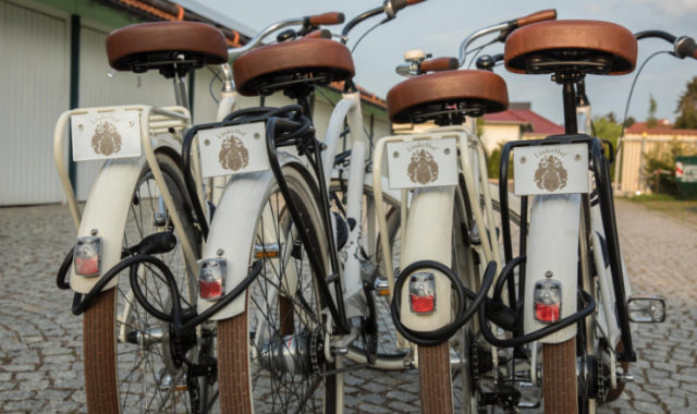 Fahrrad Townies